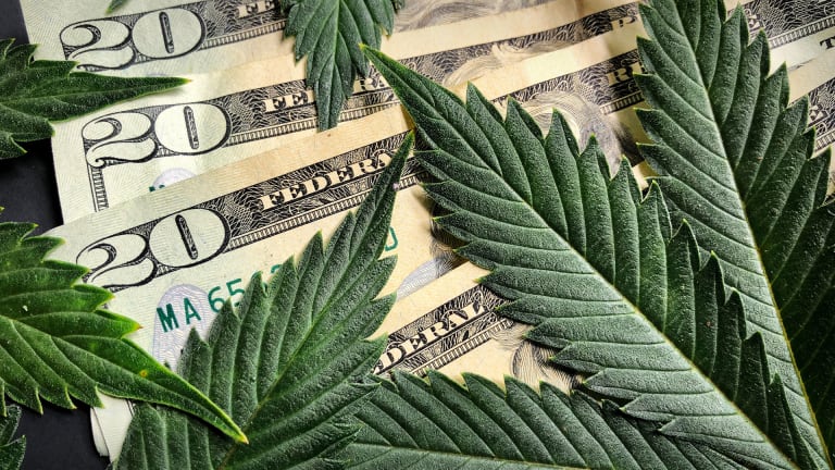 Kass: Could Marijuana Stocks Triple?